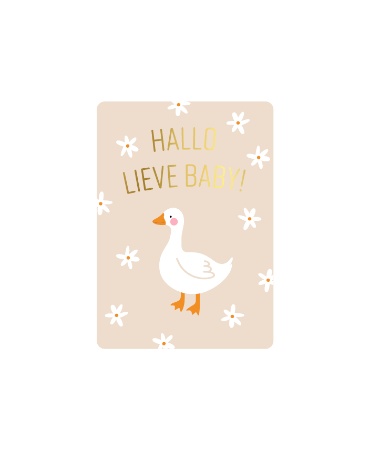 Wenskaart - HALLO LIEVE BABY