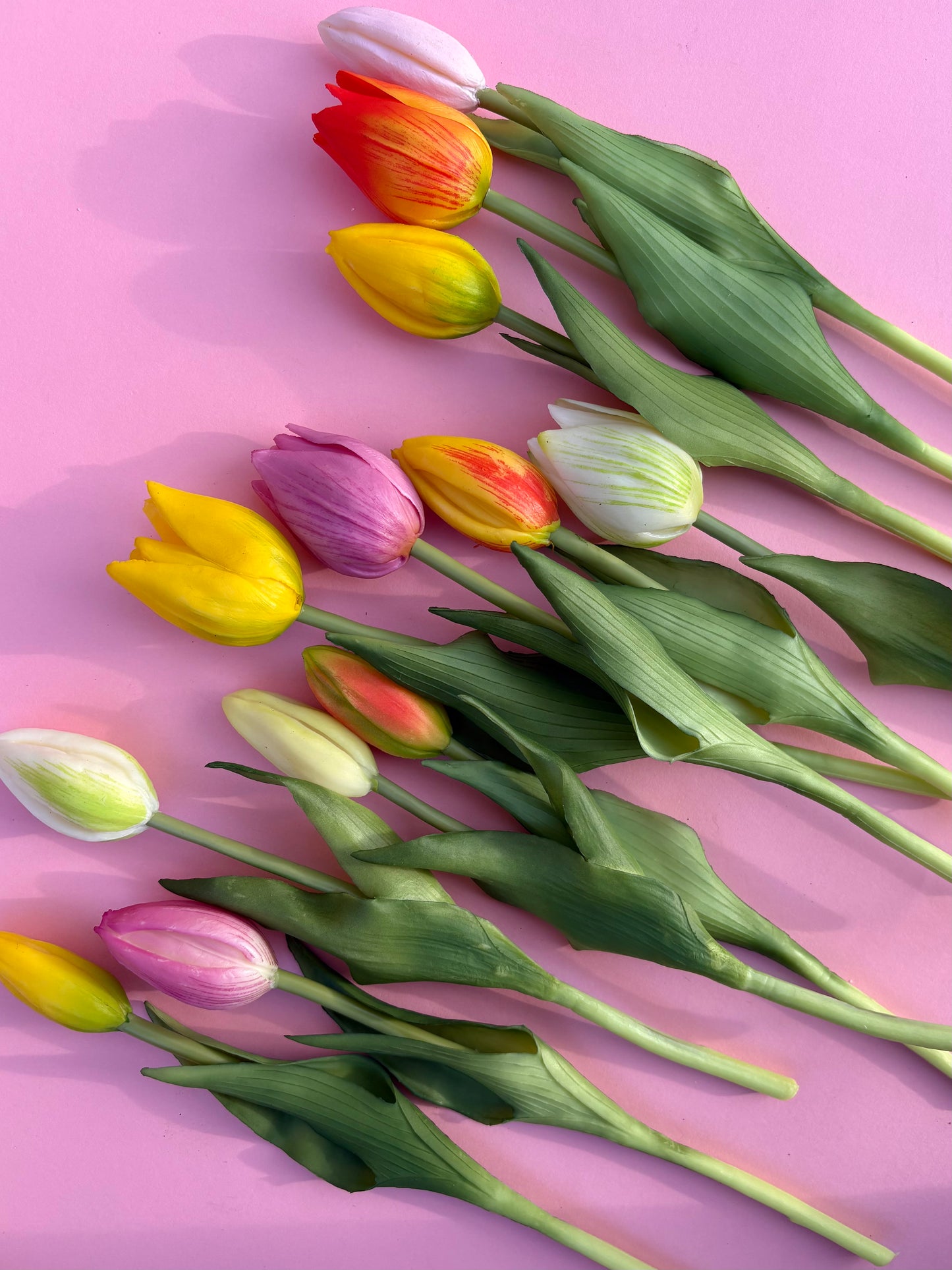 Brievenbuscadeautje - Bosje Kunst Tulpen - Inclusief kaartje #1
