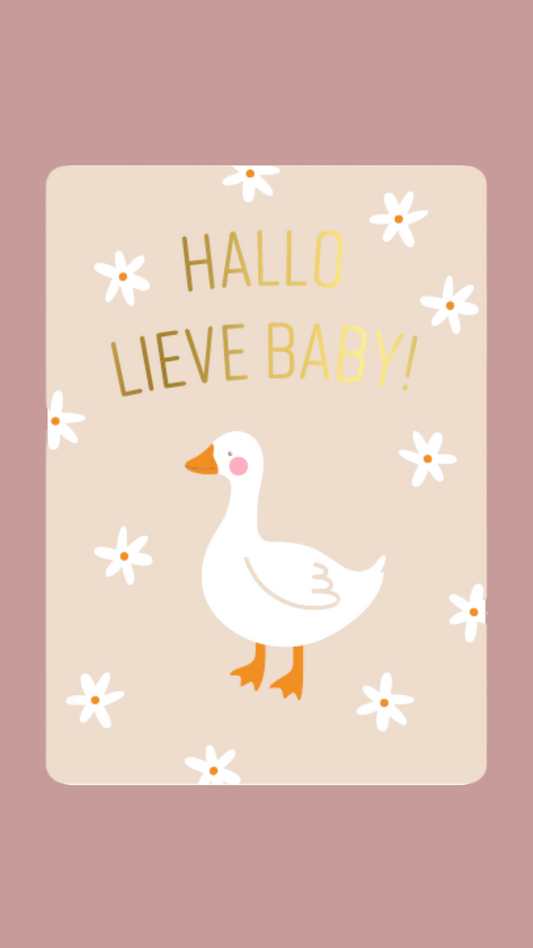 Wenskaart - HALLO LIEVE BABY